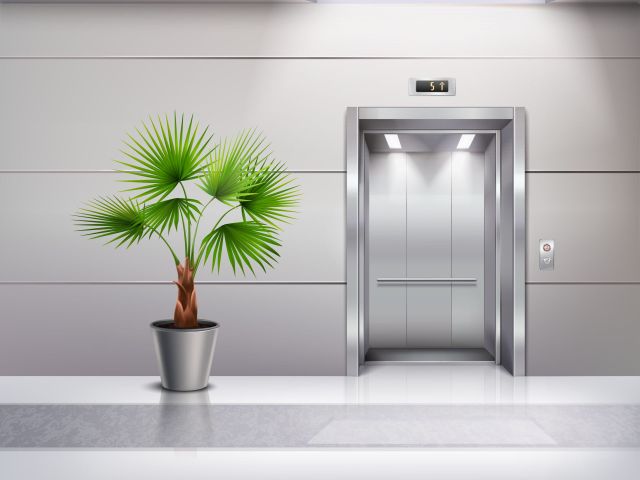 modern elevator image with plant near the door