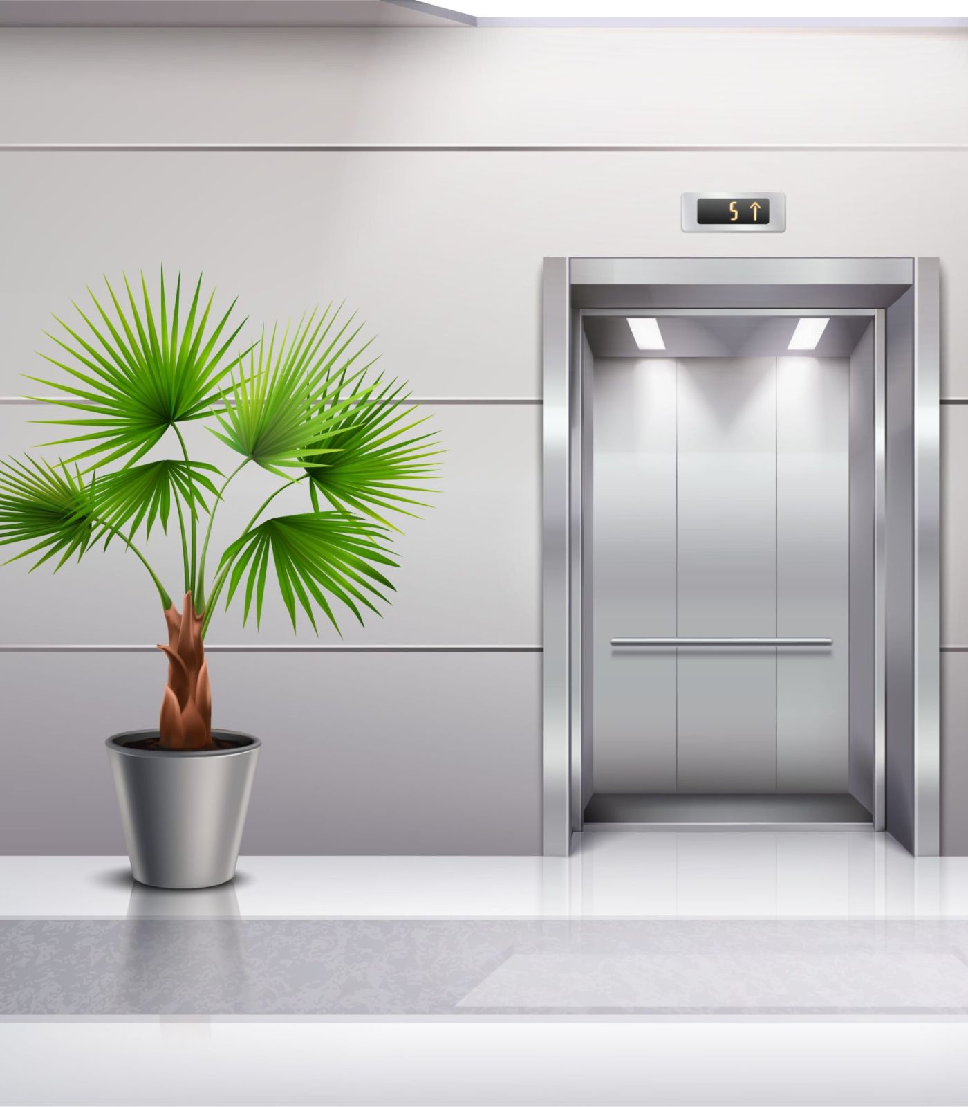 modern elevator image with plant near the door