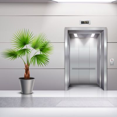 modern elevator image with plant near the door